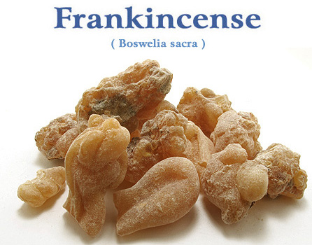 オマーン産（乳香）・フランキンセンス（ファイン）(Boswellia sacra 