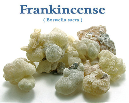 オマーン産（乳香）/フランキンセンス（プレミアム）(Boswellia sacra)販売-ネイチャーガイダンス
