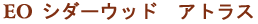 �V�_�[�E�b�h�E�A�g���X